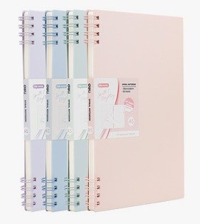 Agenda